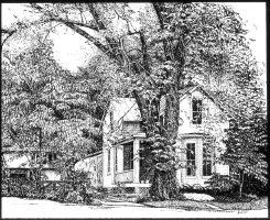 Click to Enlarge